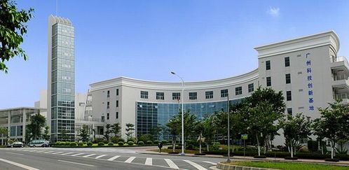 空氣污染致癌風(fēng)險高,綠陽為您健康保駕護(hù)航