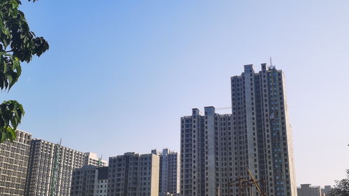 鄭州名門地產 沒落 身陷資金鏈危局,多個項目延期交房鳳凰網河南