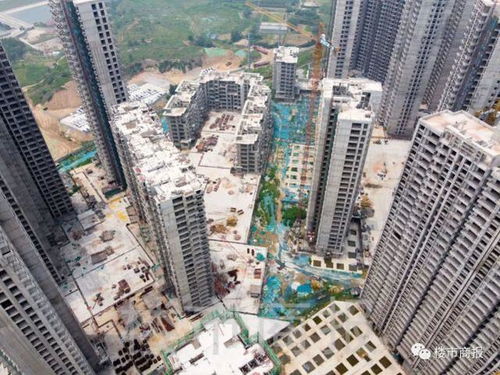 鄭州一群業(yè)主買的商品房不但交房無期 還變成了安置房