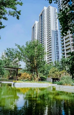 鄭州開發(fā)商,我勸你不要做紓困基金的白日夢